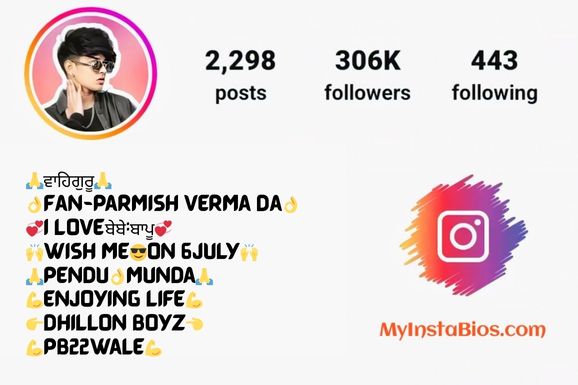 Funny Instagram Bio for Boys 9