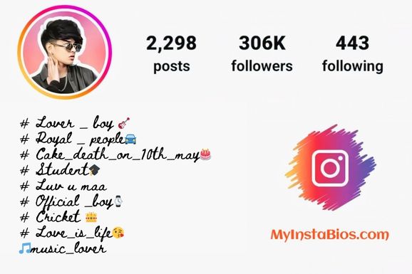 Instagram Bio for Boys in Hindi 13