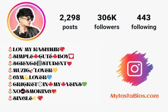 Professional Instagram Bio for Boys 7