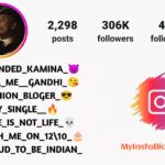 Stylish Gangster Bio